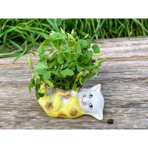 Vintage Bisque Porcelain Small Sad Kitty Cat Planter Vase - Picture 6 of 11